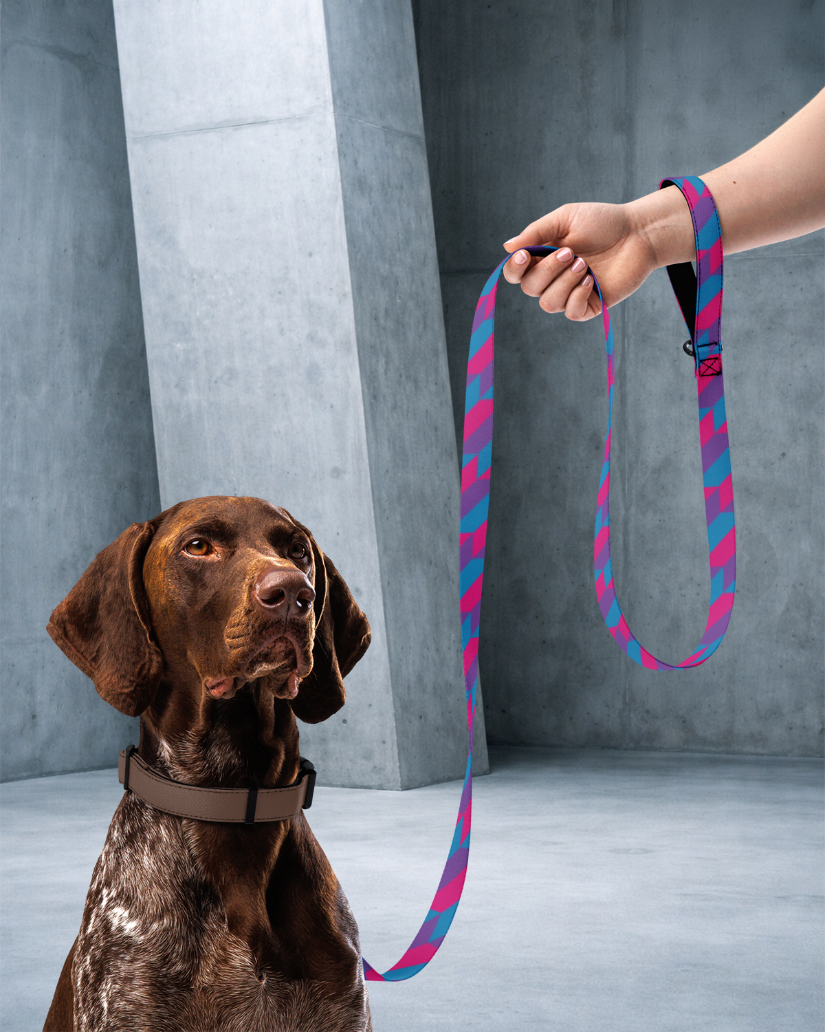 True Colors Leash & Collar