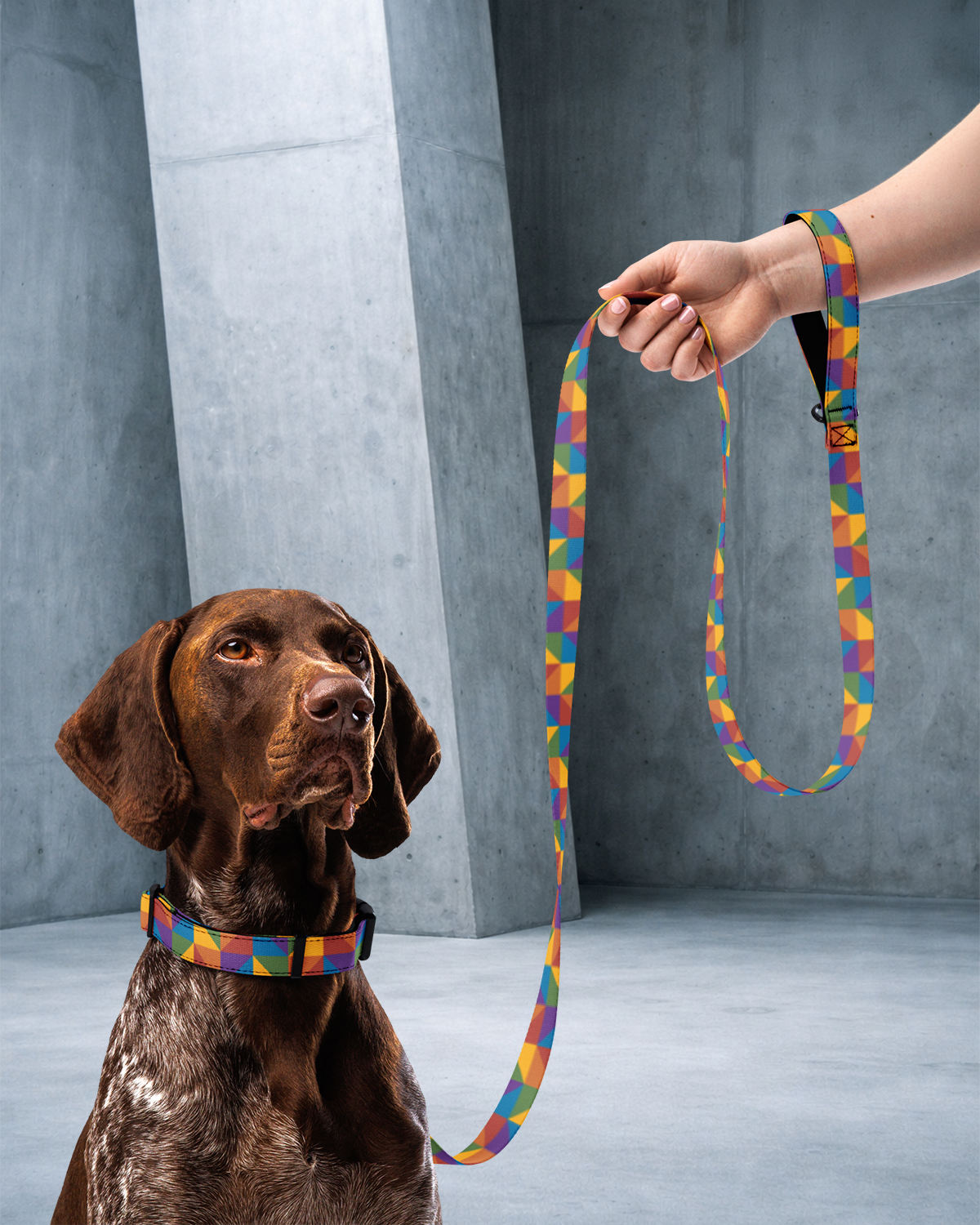True Colors Leash & Collar